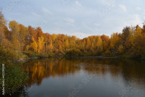 Fototapeta Beautiful autumn landscape with lake and colorful trees on its bank.