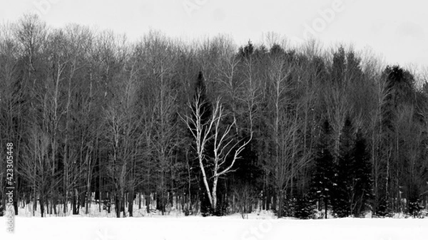 Obraz Social distancing 