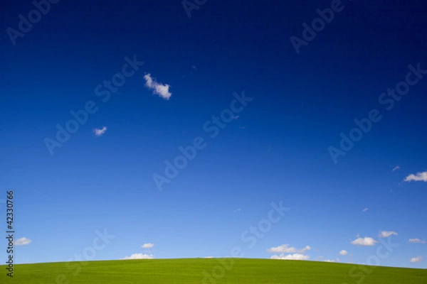Obraz green grass and blue sky