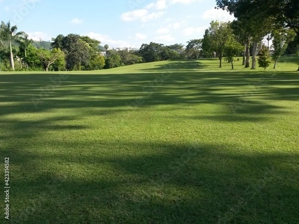 Obraz campo de golf