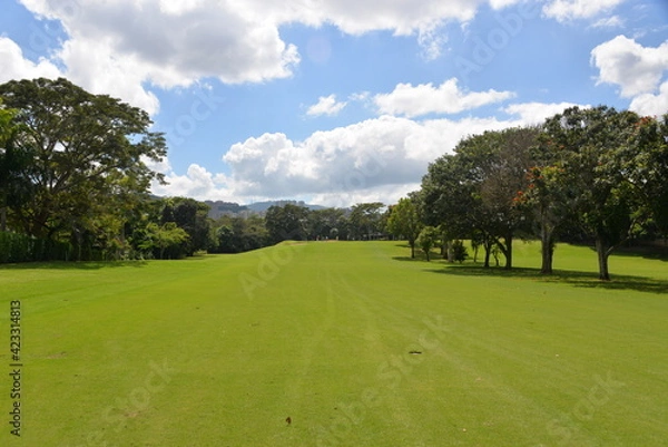 Obraz campo de golf