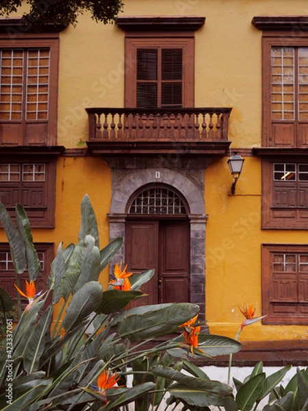 Obraz Traditional spanish house facade with tropical plants