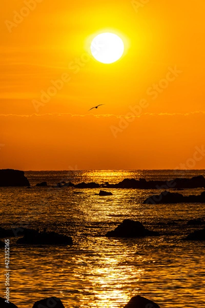 Obraz オレンジの時間