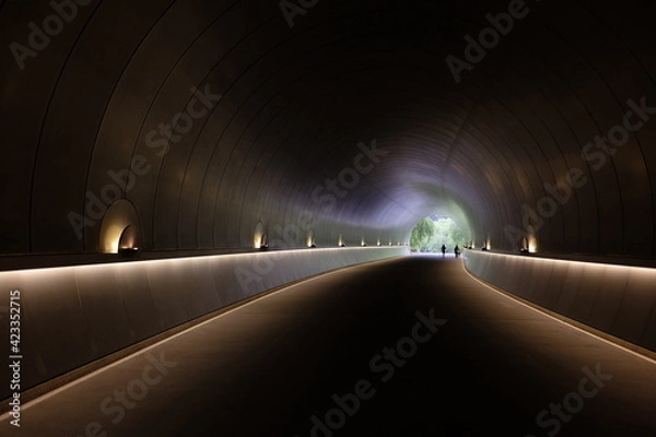 Obraz light in the tunnel