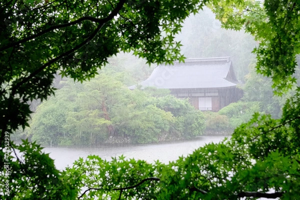 Obraz tample in rain