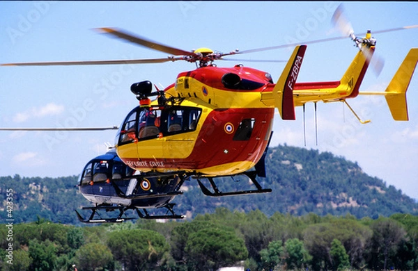 Obraz helico1