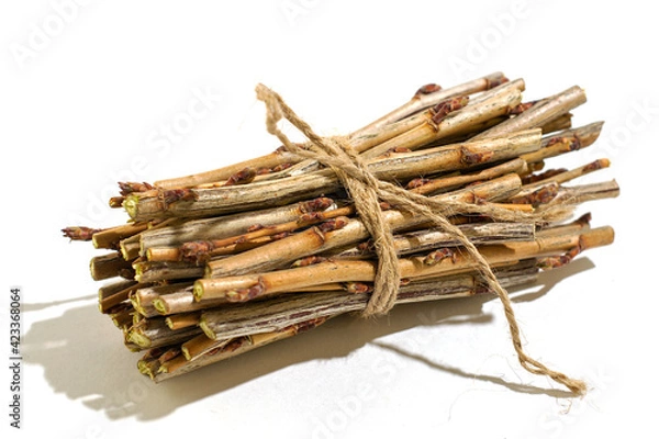 Obraz a bundle of twigs tied with a hemp rope on a white background