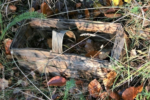 Obraz koszyk , jesien