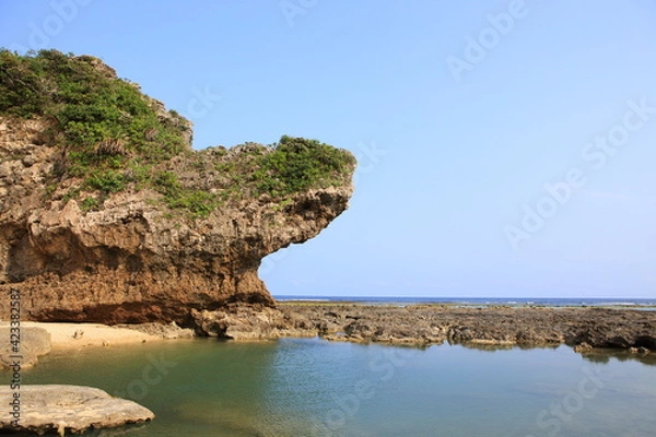 Obraz 波の浸食で削れた岩