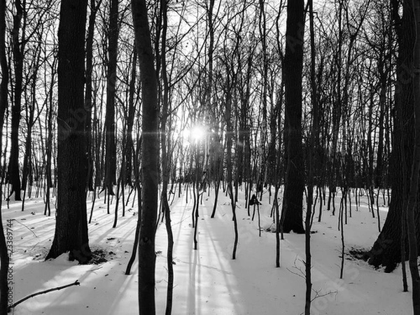 Obraz Winterliche Stimmung