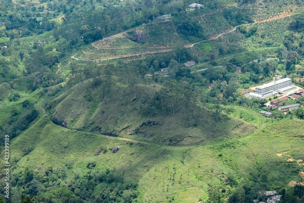 Obraz Demodara railway loop from the top