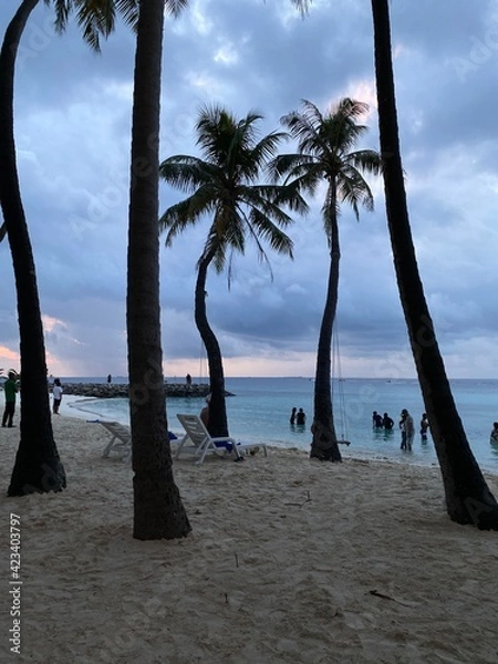 Obraz trees on the beach