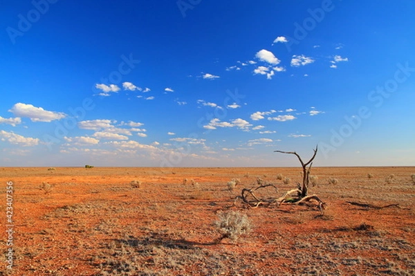 Fototapeta Australian outback wilderness and remoteness