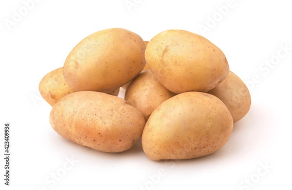 Obraz Pile of fresh new potatoes