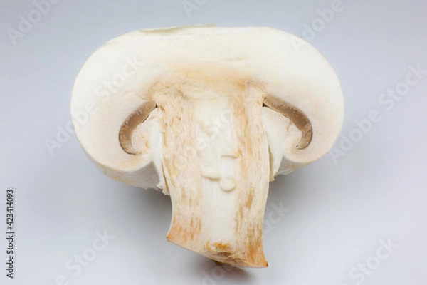Fototapeta Close up photo of champignon mushrooms on white background. Mushroom cut in half, inside, macro view.