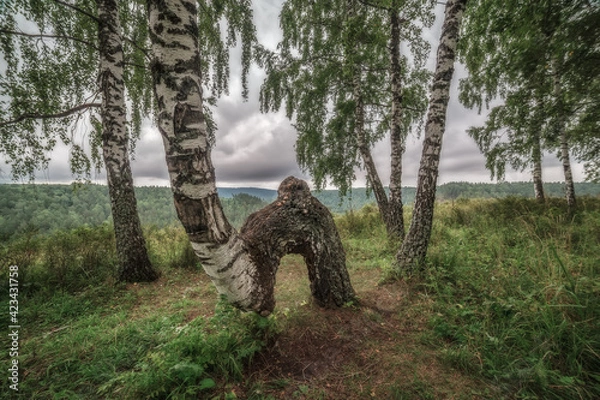 Obraz hunter with rifle