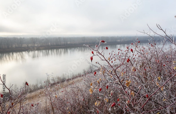 Obraz snow on the field