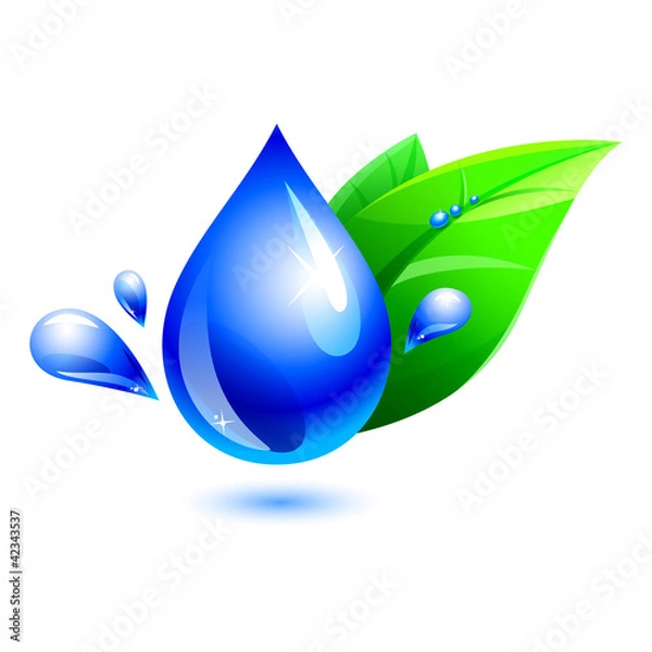 Obraz water drop and leaf