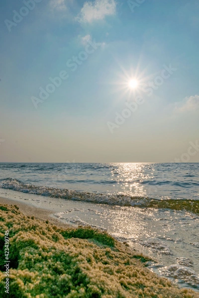 Obraz sunset over the sea