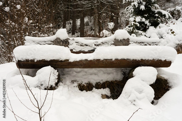 Obraz snow covered tree in winter