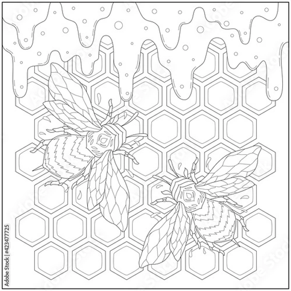 Fototapeta Beautiful honey bee in the beeswax and flowing honey. Learning and education coloring page illustration for adults and children. Outline style, black and white drawing.