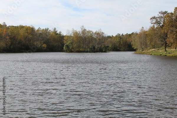 Obraz River in autumn