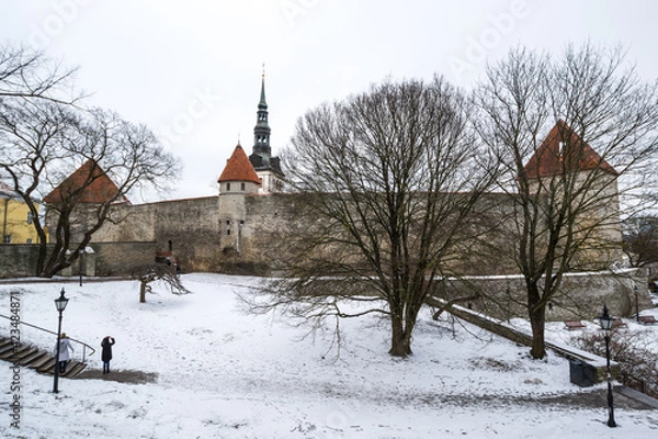 Fototapeta View of Tallinn castle