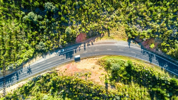 Obraz Road running through a forested hillside. Coromandel, New Zealand.