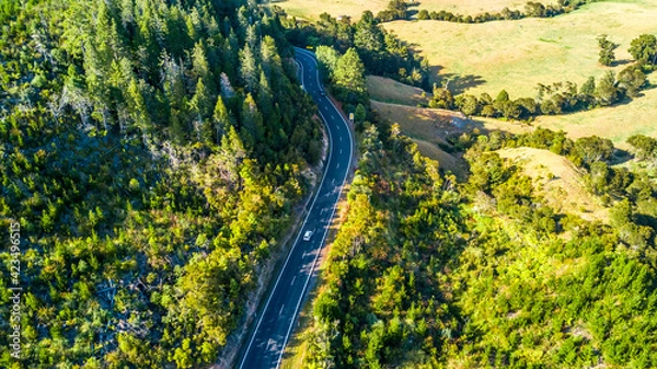 Obraz Road running through a forested hillside. Coromandel, New Zealand.