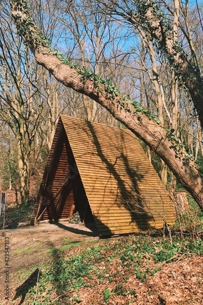 Obraz Processed with VSCO with k2 preset