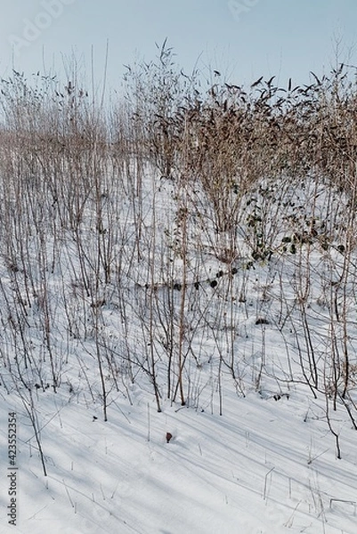 Obraz Processed with VSCO with m5 preset