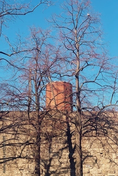 Obraz Processed with VSCO with s5 preset