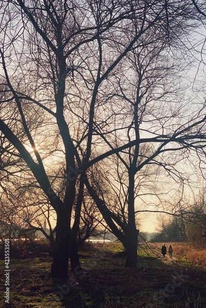 Obraz Processed with VSCO with s5 preset