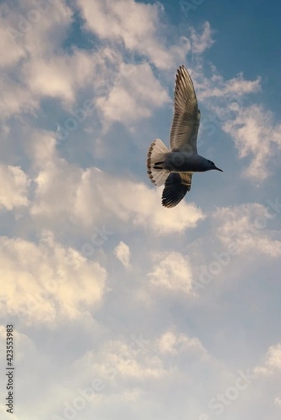 Obraz Processed with VSCO with g1 preset