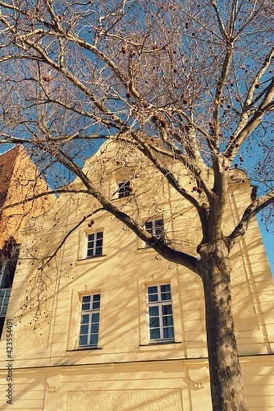 Obraz Processed with VSCO with s5 preset