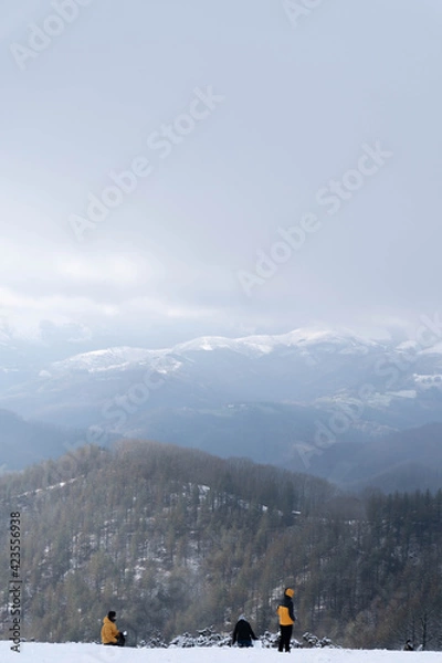 Obraz Children playing with snow