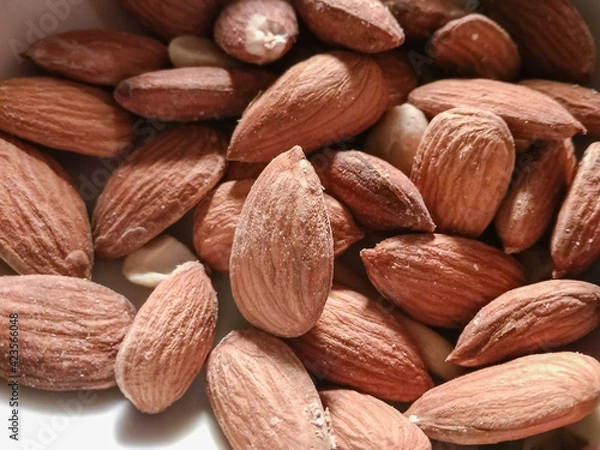 Obraz Almond 