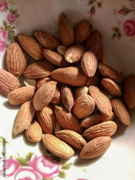 Obraz Almond 
