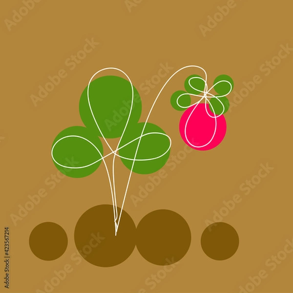 Fototapeta linear drawing of strawberries with a white line on a colored background. One line drawing style.