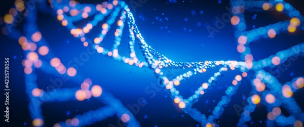 Fototapeta DNA digital. Study of gene structure of cell. Molecule structure. Genetic engineering of the future. 3d illustration