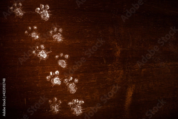 Obraz Páscoa - pegadas do coelhinho