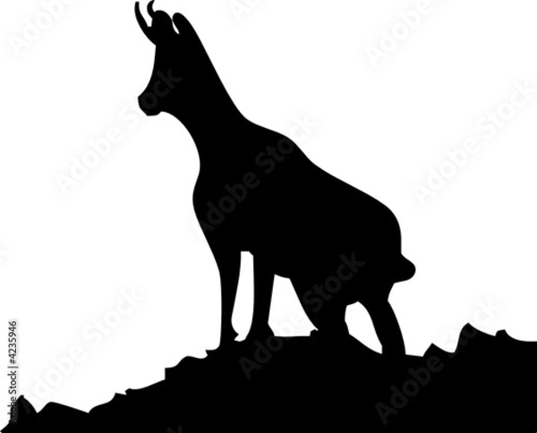 Obraz Logo chamois
