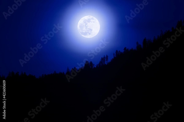 Obraz Mond über den Schwarzwald