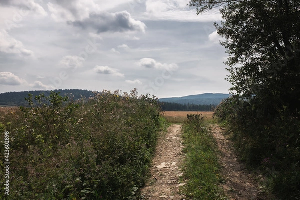 Obraz An empty, dirt road, Bieszczady National Park, Poland