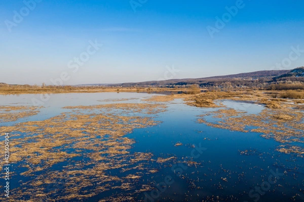 Obraz Fall lake grass