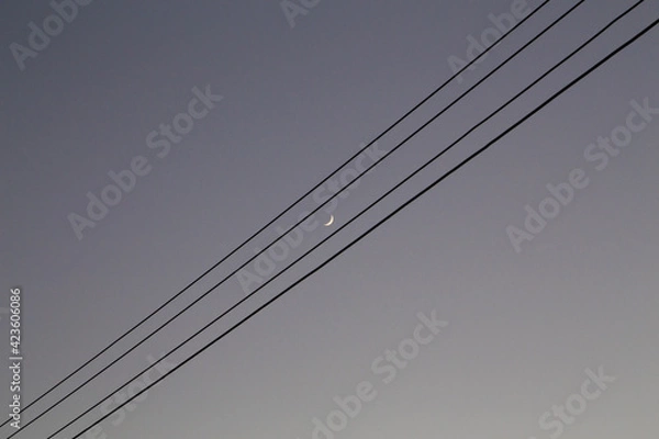 Obraz Crescent moon between electric cables