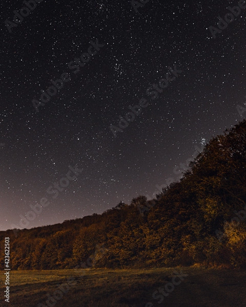 Obraz starry night sky