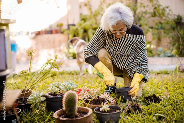 Obraz Cuidando do jardim