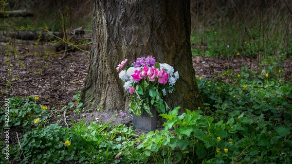 Fototapeta Bunch of colourful flowers in flower pot left outside at base of tall oak tree.