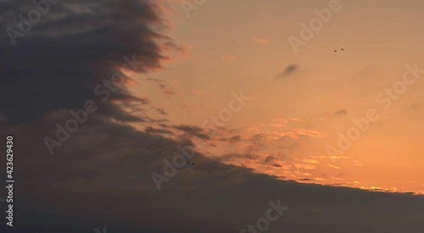 Fototapeta sunset in the clouds